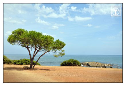 Sardinien, Strand, Meer, einsamer Baum, Sardinien Strand