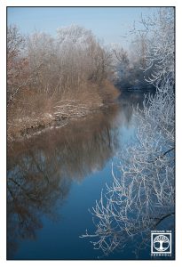 winter river, winter trees, reflection water