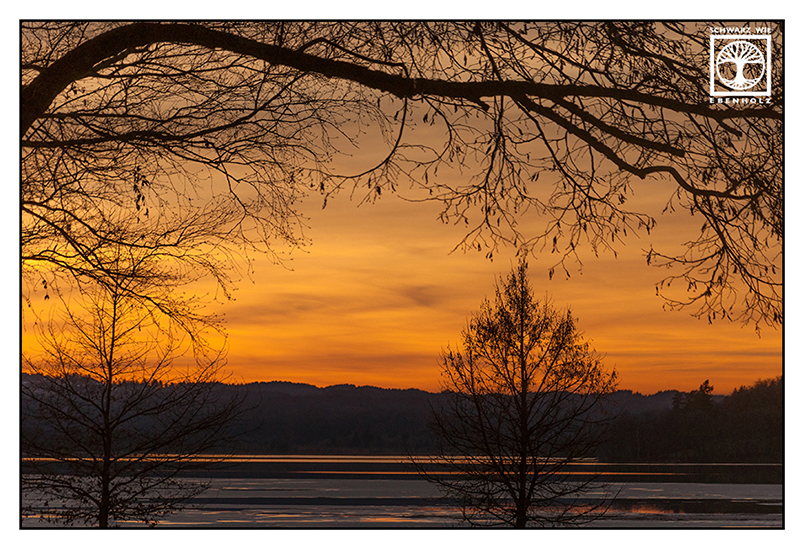 sunset lake, sunset trees, sunset winter, lake kochel, kochelsee