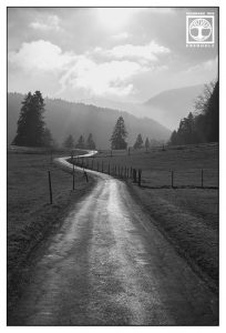 country road, countryside, rural landscape, meadow, bavaria, germany, countryside blackandwhite, road blackandwhite, way blackandwhite