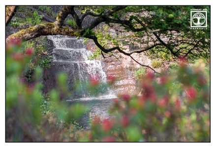 waterfall spring, japanese garden, japanese garden kaiserslautern, kaiserslautern