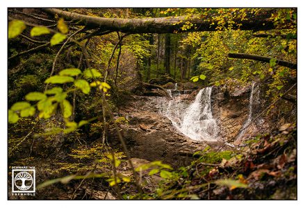 waterfall forest, lainbach waterfalls, lainbachfälle, kochel, bavaria, germany