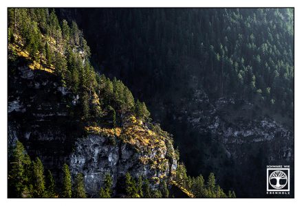 Wald Berge, Alpen