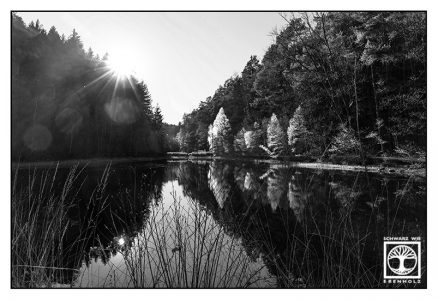 lake blackandwhite, reflections blackandwhite, Gelterswoog, blackandwhite photography