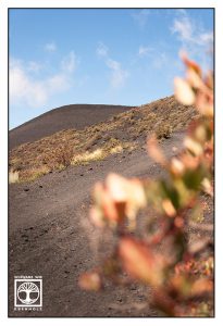 La Palma, Fuencaliente, Vulkan, Vulkanlandschaft
