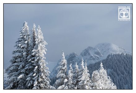 Wallberg, winter mountains, snowy mountains