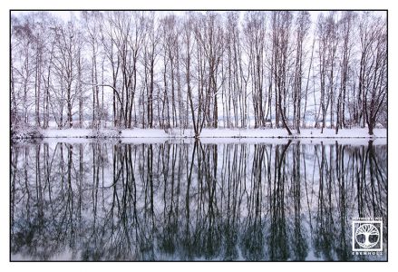 reflections water, reflections lake, winter trees, snowy trees, winter lake
