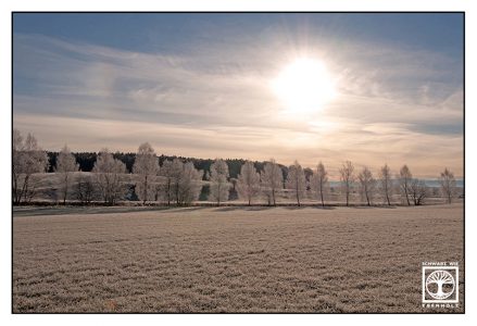 winter trees, winter fields, snowy trees, hoar, frost