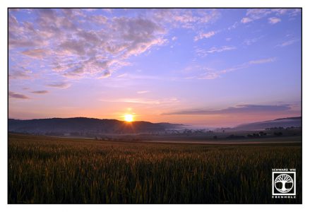 sunrise field, sunrise cornfield, Baden-Württemberg, Germany