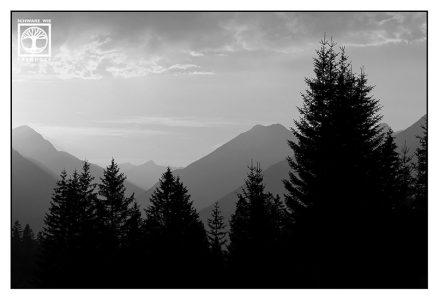 mountain sunset, alps sunset, forest sunset, austria, ehrwald, mountains blackandwhite, blackandwhite photography