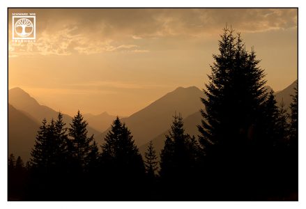 mountain sunset, alps sunset, forest sunset, austria, ehrwald