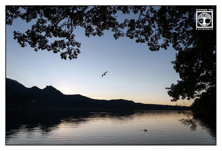 kochel, lake kochel, sunset lake, lake reflections