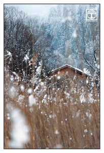 Hütte Winter, Scheune Winter, Winter Wald, Kochel