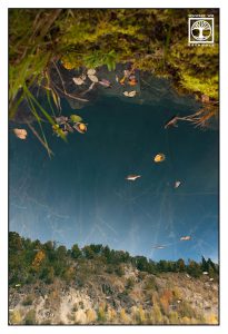 reflections water, reflections lake, surrealism, surreal photo, surreal photography