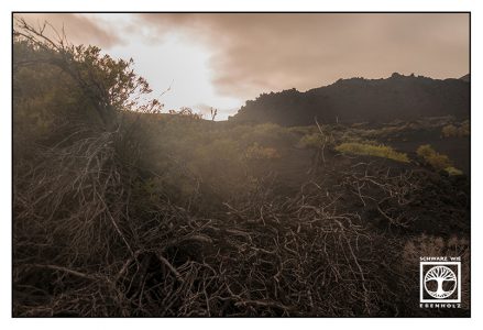 La Palma, Fuencaliente, Vulkan, Vulkanlandschaft