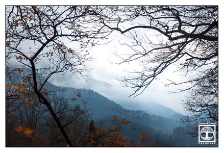 Kochel, foggy mountains, foggy forest, autumn forest