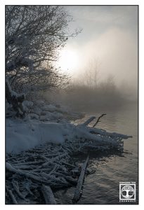 winter lake, winter sun, winter forest, Bavaria, Germany, Lake Kochel, Kochelsee, Kochel