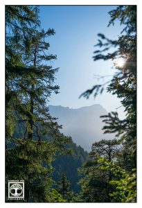 mountains, alps, bavaria, germany, forest