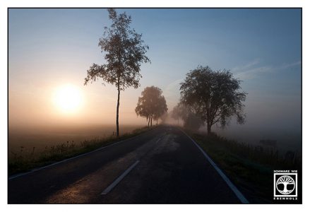 foggy road, country road, sunrise road, Allgäu, Bavaria, Germany, vanishing point photography, perspective photography