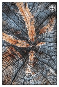 abstract photo, abstract photography, wood texture