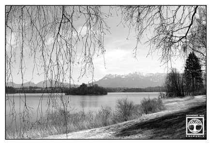 lake blackandwhite, staffellsee blackandwhite, staffelsee, lake staffel, blackandwhite photography