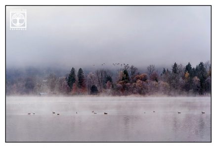 foggy lake, autumn lake, Germany, Bavaria, Lake Kochel, Schlehdorf