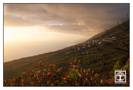 La Palma, Fuencaliente, wine fields, sunset valley