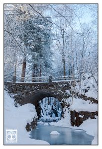winter bridge, winter forest, winter river, frozen river, snowy trees, Germany, Kochel
