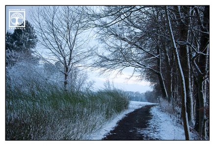 winter way, winter forest, winter landscape, Landsberg, Germany