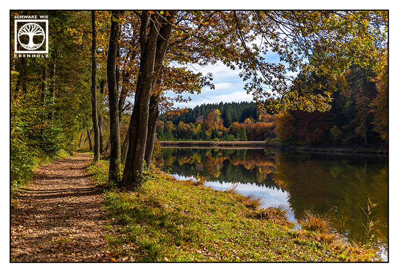 Thanninger Weiher, Thanning, autumn lake, autumn trees, reflections lake, reflection water, reflection trees, way autumn