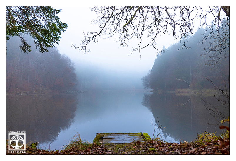 foggy forest, fog, autumn forest, autumn lake, foggy lake, lake fog, Thanninger Weiher, Thanning