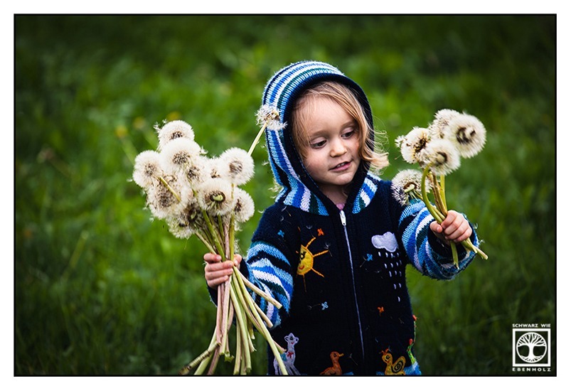 Kindershooting im Frühling: Hier ist ein Mädchen zu sehen, das eine blaue Strickjacke mit Kapuze trägt. Die Strickjacke hat bunte Stickereien auf der Vorderseite, Ärmel und die Kapuze, die sie auf dem Kopf trägt, sind blau weiß gestreift. In beiden Händen hält sie je einen Blumenstrauß aus Pusteblumen. Im Hintergrund ist eine Wiese zu erkennen.