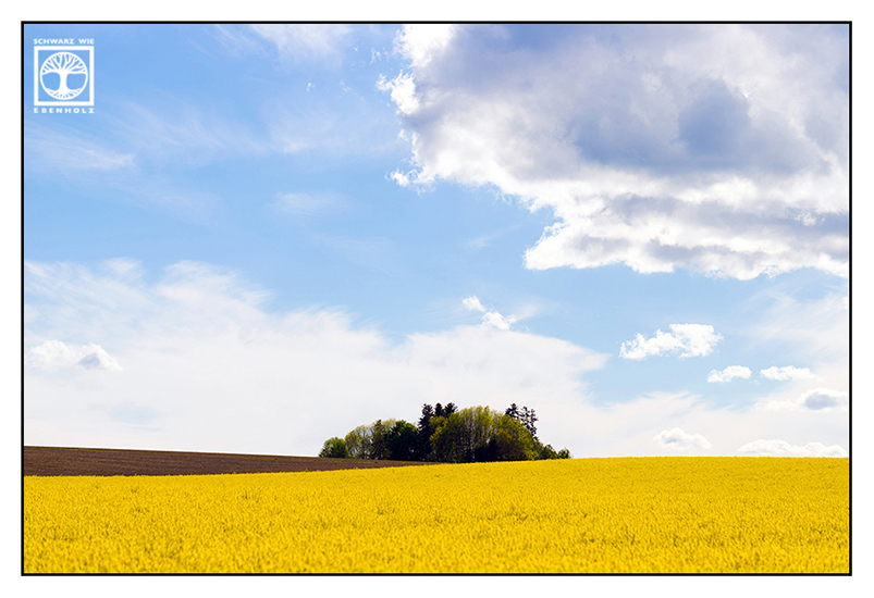 rural countryside, rural photography, rural landscape, agriculture, farming, field, fields, countryside, Bavaria, canola field, rcanola