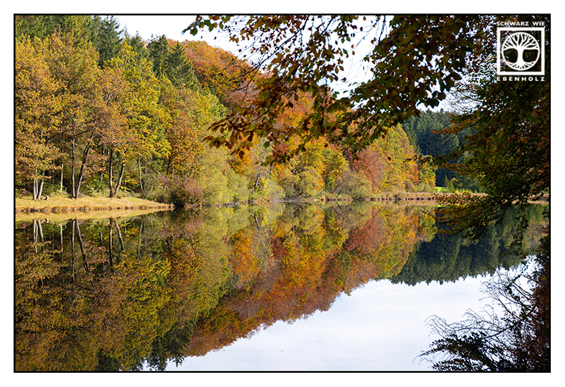Herbstblätter, Herbst, Herbstwald, See Herbst, Thanninger Weiher, Thanning, Reflexion See, Reflexion Wasser, Spiegelung See, Spiegelung Wasser