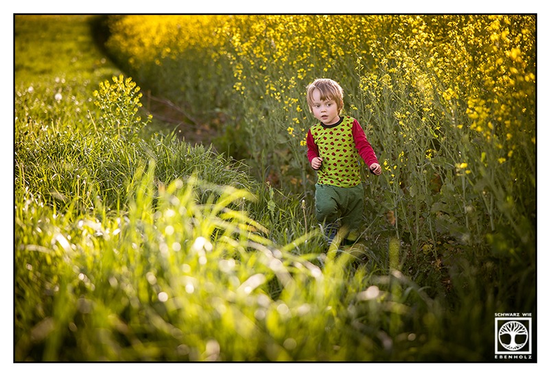 Outdoor Kindershooting im Frühling: Ein kleiner blonder Junge läuft an einem Rapsfeld entlang. Er trägt ein rot grünes Langarmshirt mit Marienkäfern und eine grüne Hose.