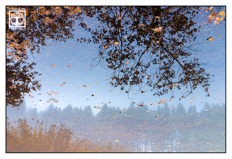 reflections water, reflections lake, surrealism, surreal photo, surreal photography, autumn, fall