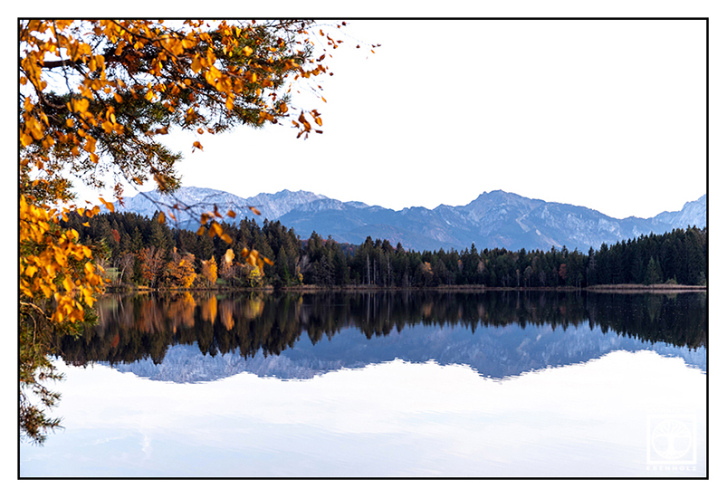 autumn lake, reflections lake, reflection water, Schmutterweiher, Schmuttersee