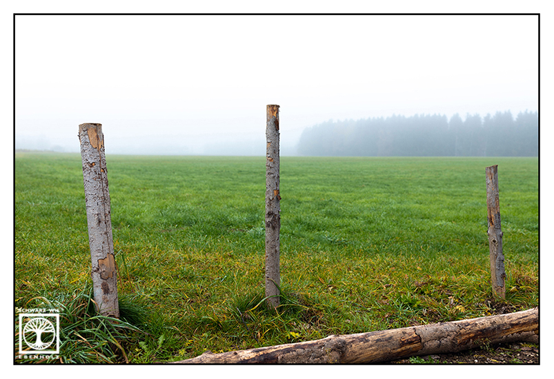 rural photography, rural countryside, rural scenery, fog field, fog meadow