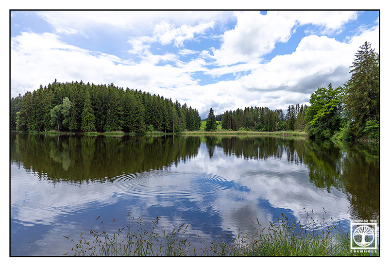 Schmutterweiher, Schmuttersee, lake, concentric, reflections, reflections lake, reflections water