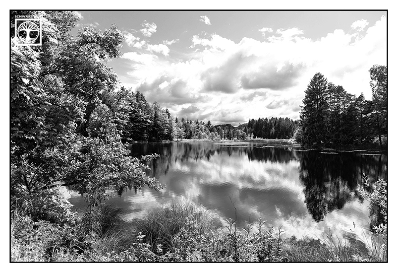 lake blackandwhite, reflections blackandwhite, blackandwhite photography, Schmuttersee