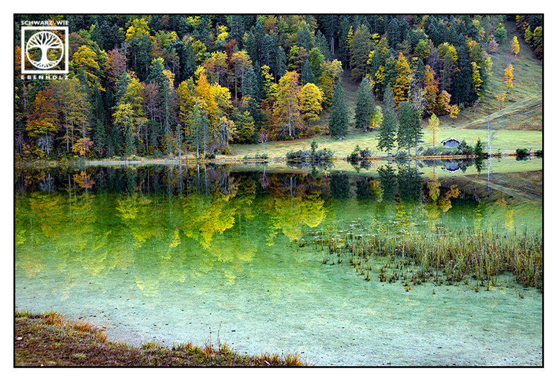 autumn lake, reflections lake, reflections water, reflection trees, Ferchensee, Mittenwald