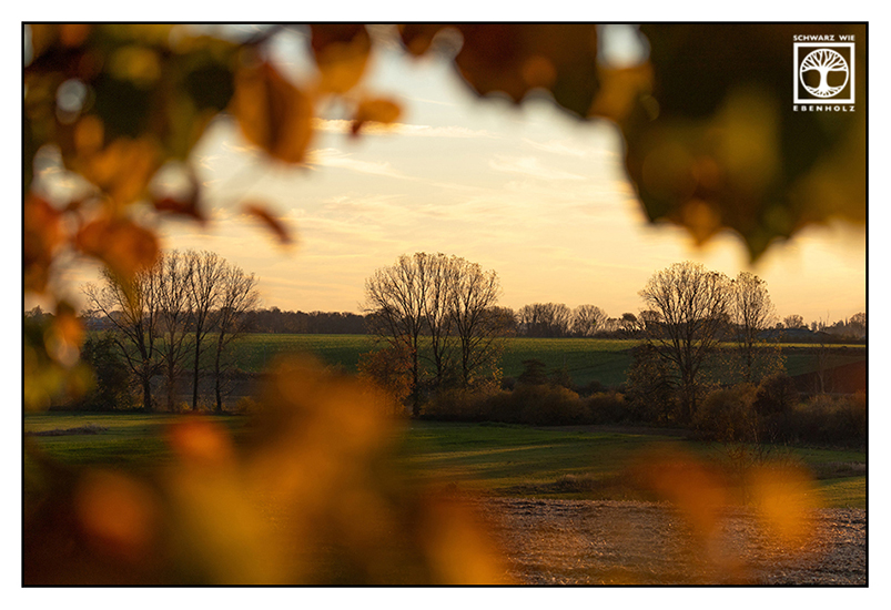 Felder Herbst, Landidylle, ländliche Idylle, Sonnenuntergang Felder, warme Farben