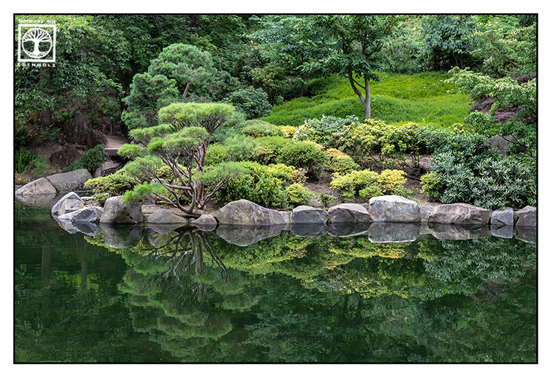 Japanischer Garten Kaiserslautern, Japanischer Garten, Kaiserslautern, Reflexion Wasser, Reflexion See, Spiegelung Wasser, Spiegelung See
