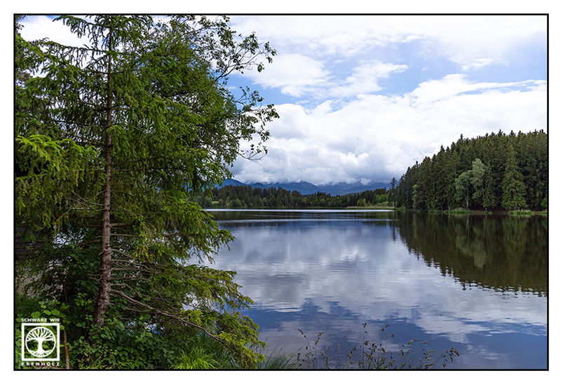 Schmutterweiher, Schmuttersee, reflections, reflections lake, reflections water, Bavaria