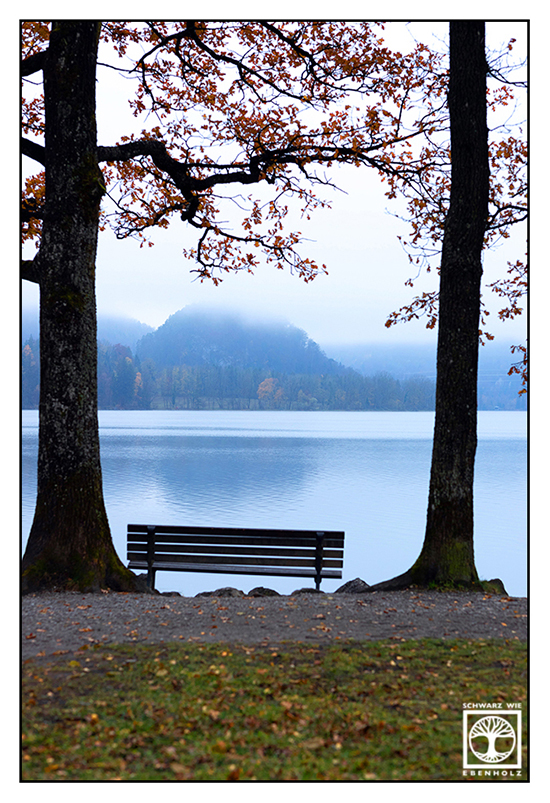 Kochelsee, Kochel, foggy lake, lake fog, lake autumn, Kochelsee autumn, autumn lake