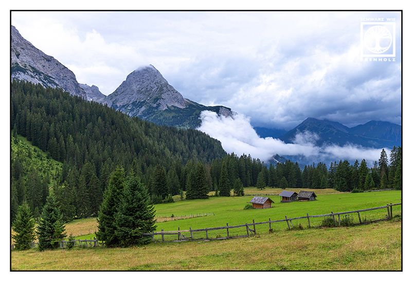 Austria, Ehrwald, mountains, alps, meadow