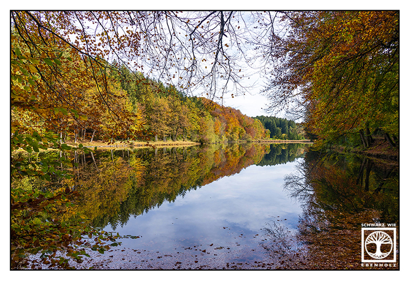Thanninger Weiher, Thanning, autumn lake, reflections lake, reflection water, reflection trees