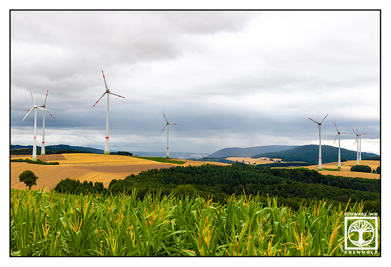 rural countryside, rural photography, rural landscape, field, fields, countryside, Pfalz, wind energy, windmill