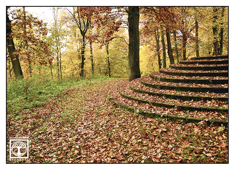 autumn stairs, autumn forest