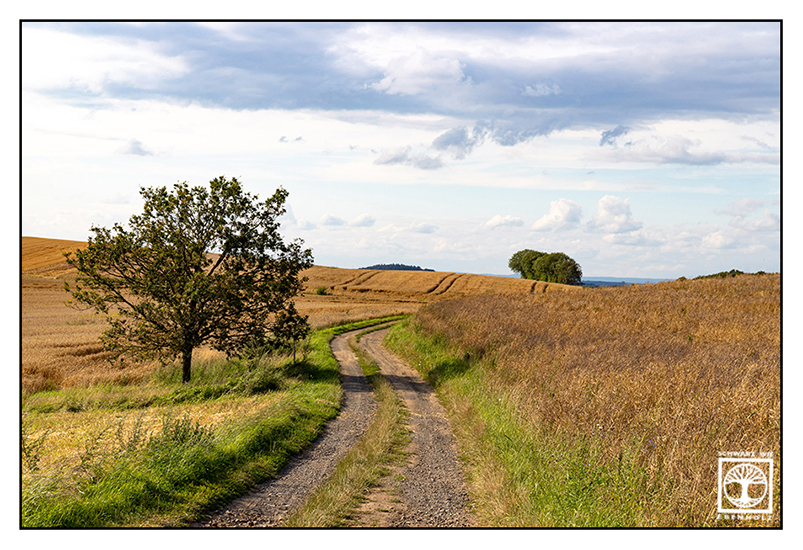 rural countryside, rural photography, rural landscape, country road, field, fields, countryside, Pfalz